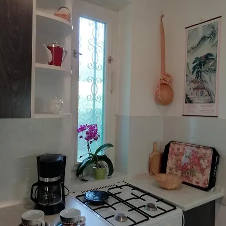 Mediterran * 잘라카로쉬